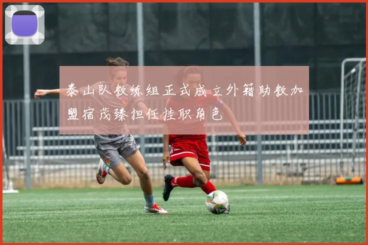 泰山队教练组正式成立外籍助教加盟宿茂臻担任挂职角色