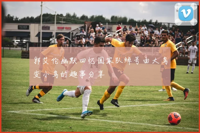 郭艾伦幽默回忆国家队绰号由大鸟变小鸟的趣事分享